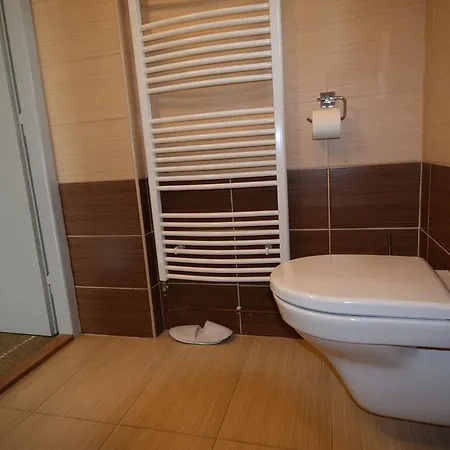Vrazova Apartment Brno